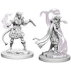 D&D Miniatures: Female Tiefling Sorcerer - Nolzur's Marvelous Unpainted Minis