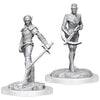 D&D Miniatures: Drow Fighters - Nolzur's Marvelous Unpainted Minis